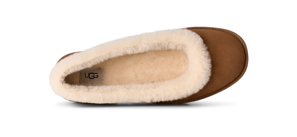 Women's Suede Ballet Flat - Chestnut
