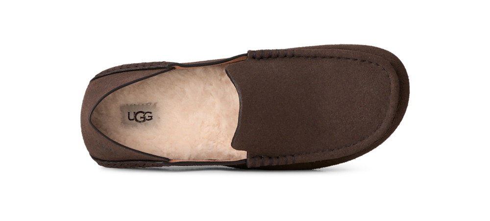 Women's Eldrie Loafer