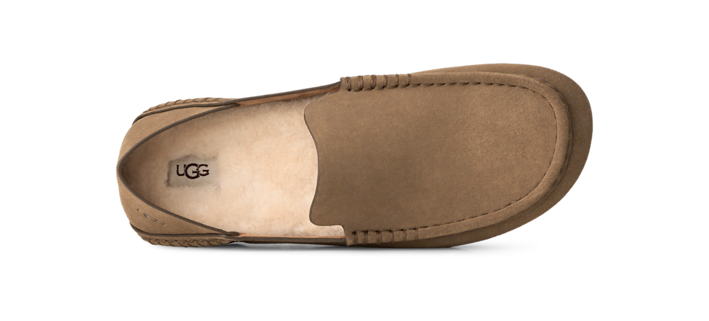 Women's Eldrie Loafer